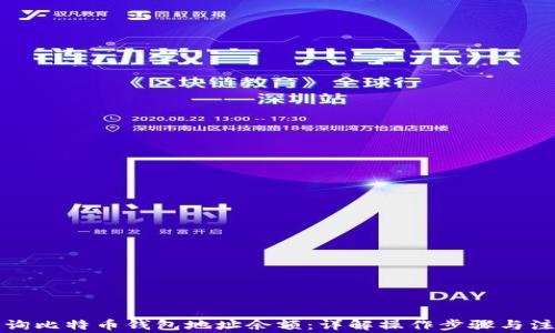
如何查询比特币钱包地址余额：详解操作步骤与注意事项