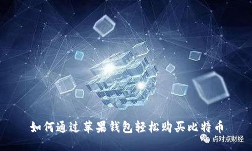 如何通过苹果钱包轻松购买比特币