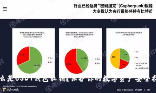 什么是USDT钱包私钥？保护你的数字资产安全指南