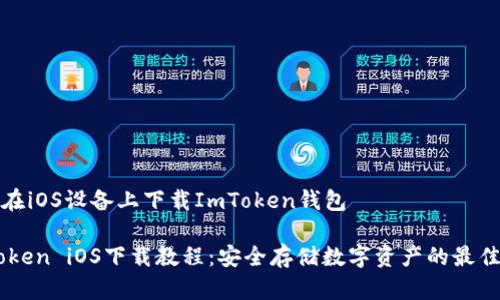 如何在iOS设备上下载ImToken钱包

ImToken iOS下载教程：安全存储数字资产的最佳选择