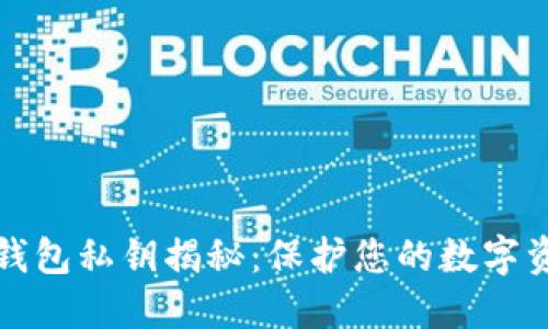 区块链钱包私钥揭秘：保护您的数字资产安全