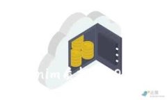 如何进行Tokenim质押和DOT挖