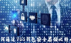 如何通过VDS钱包安全存储